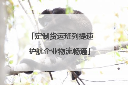 定制货运班列提速 护航企业物流畅通