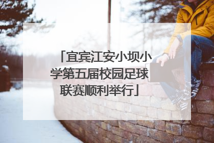宜宾江安小坝小学第五届校园足球联赛顺利举行