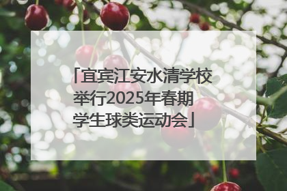 宜宾江安水清学校举行2025年春期学生球类运动会