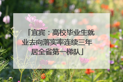 宜宾：高校毕业生就业去向落实率连续三年居全省第一梯队