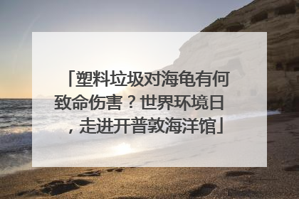 塑料垃圾对海龟有何致命伤害？世界环境日，走进开普敦海洋馆