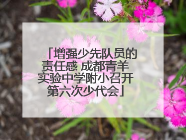 增强少先队员的责任感 成都青羊实验中学附小召开第六次少代会