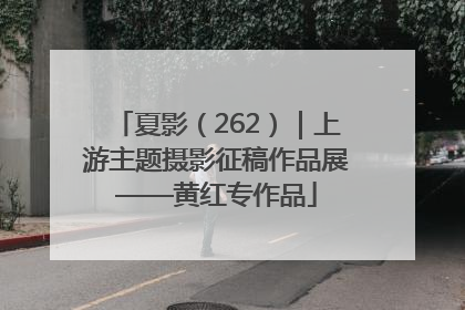夏影（262）｜上游主题摄影征稿作品展——黄红专作品