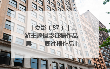 夏影（87）｜上游主题摄影征稿作品展——周社根作品