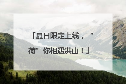 夏日限定上线，“荷”你相遇洪山！