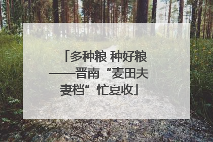 多种粮 种好粮——晋南“麦田夫妻档”忙夏收