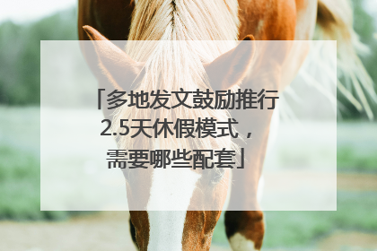 多地发文鼓励推行2.5天休假模式，需要哪些配套