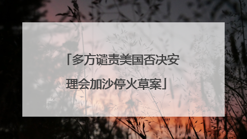 多方谴责美国否决安理会加沙停火草案