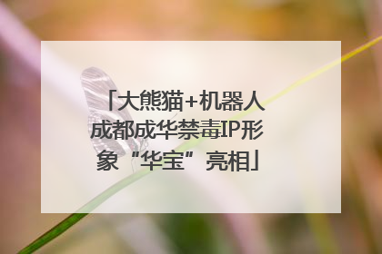 大熊猫+机器人 成都成华禁毒IP形象“华宝”亮相