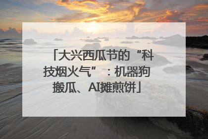 大兴西瓜节的“科技烟火气”：机器狗搬瓜、AI摊煎饼