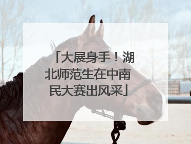 大展身手！湖北师范生在中南民大赛出风采