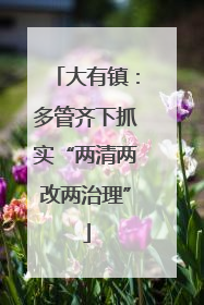 大有镇：多管齐下抓实“两清两改两治理”