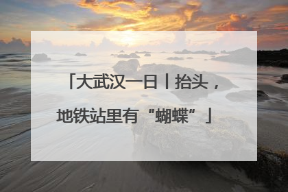 大武汉一日丨抬头，地铁站里有“蝴蝶”