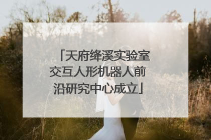 天府绛溪实验室交互人形机器人前沿研究中心成立