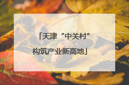 天津“中关村”构筑产业新高地