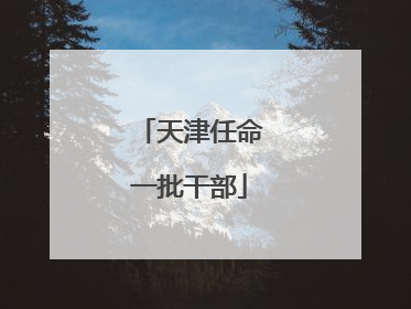天津任命一批干部