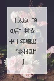 太原“90后”村支书十年酿出“乡村甜”