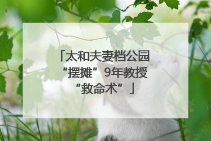 太和夫妻档公园“摆摊”9年教授“救命术”