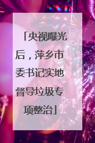 央视曝光后，萍乡市委书记实地督导垃圾专项整治