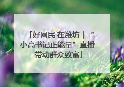 好网民·在潍坊｜“小高书记正能量”直播 带动群众致富