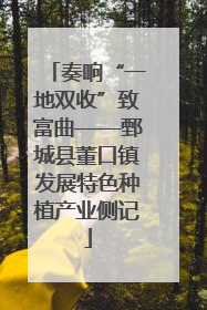 奏响“一地双收”致富曲——鄄城县董口镇发展特色种植产业侧记