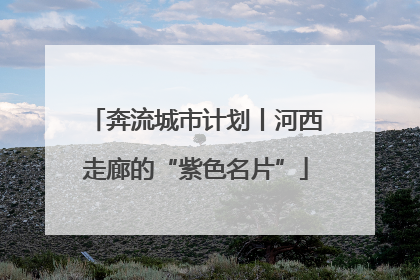 奔流城市计划丨河西走廊的“紫色名片”