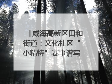 威海高新区田和街道：文化社区“小精特”赛事谱写文化赋能新乐章