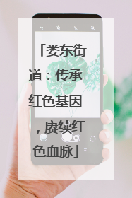 娄东街道：传承红色基因，赓续红色血脉