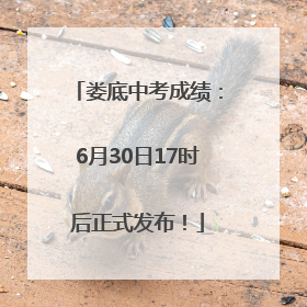娄底中考成绩：6月30日17时后正式发布！