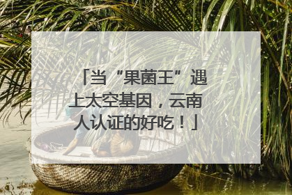 当“果菌王”遇上太空基因，云南人认证的好吃！