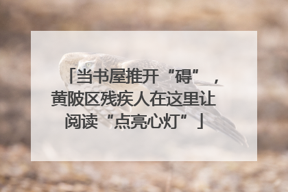当书屋推开“碍”，黄陂区残疾人在这里让阅读“点亮心灯”