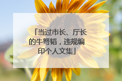 当过市长、厅长的牛弩韬，违规编印个人文集