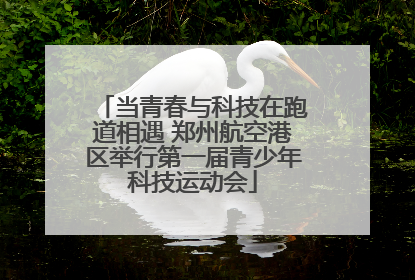 当青春与科技在跑道相遇 郑州航空港区举行第一届青少年科技运动会