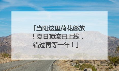 当阳这里荷花怒放！夏日顶流已上线，错过再等一年！