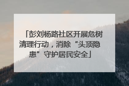 彭刘杨路社区开展危树清理行动，消除“头顶隐患”守护居民安全