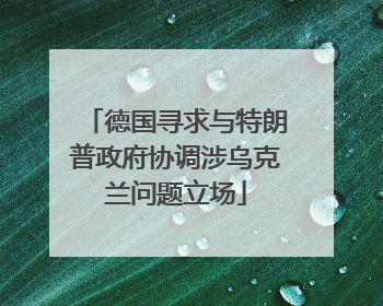 德国寻求与特朗普政府协调涉乌克兰问题立场