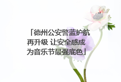 德州公安警蓝护航再升级 让安全感成为音乐节最强底色