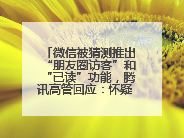 微信被猜测推出“朋友圈访客”和“已读”功能，腾讯高管回应：怀疑有人特意反复翻炒流量