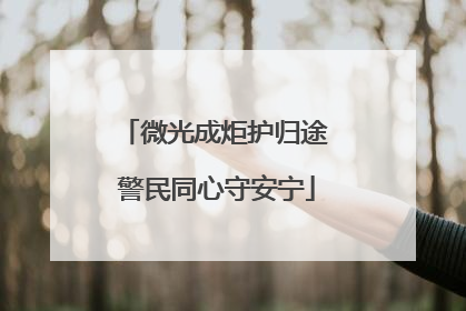 微光成炬护归途 警民同心守安宁