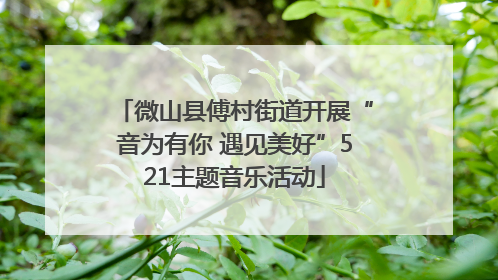 微山县傅村街道开展“音为有你 遇见美好”521主题音乐活动