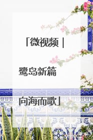 微视频｜鹭岛新篇 向海而歌