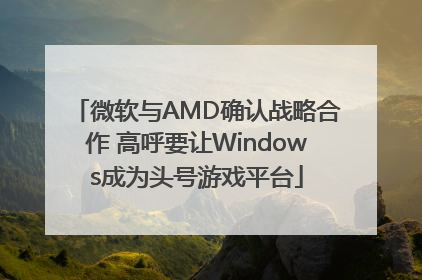 微软与AMD确认战略合作 高呼要让Windows成为头号游戏平台