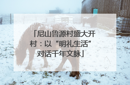 尼山鲁源村盛大开村：以“明礼生活”对话千年文脉
