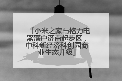 小米之家与格力电器落户济南起步区，中科新经济科创园商业生态升级