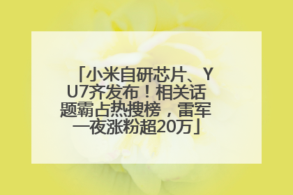 小米自研芯片、YU7齐发布！相关话题霸占热搜榜，雷军一夜涨粉超20万