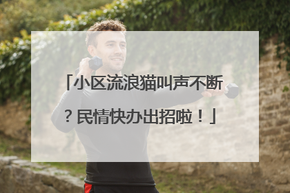 小区流浪猫叫声不断？民情快办出招啦！