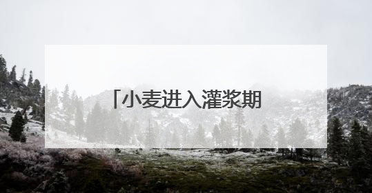 小麦进入灌浆期 蓝莓、西瓜也在抢“鲜”机