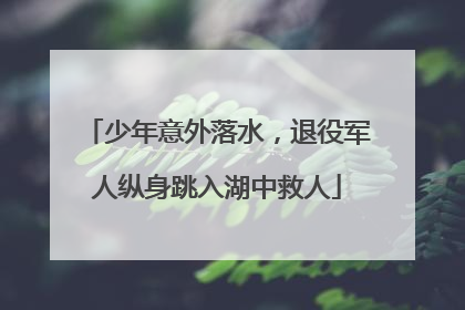 少年意外落水，退役军人纵身跳入湖中救人