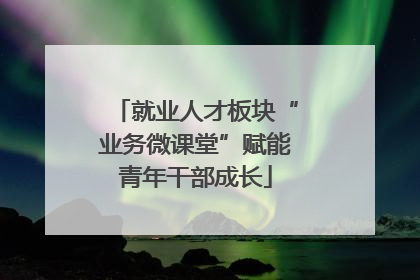 就业人才板块“业务微课堂”赋能青年干部成长
