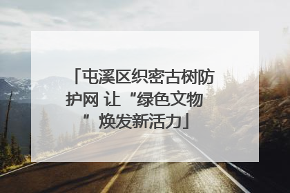 屯溪区织密古树防护网 让“绿色文物”焕发新活力